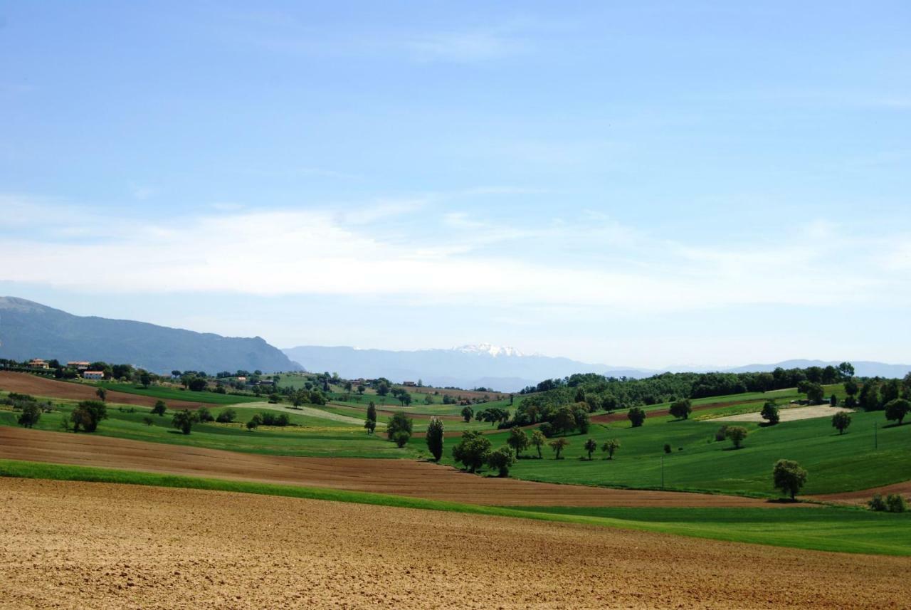 Montecastrilli Bilocale Verde Umbria מראה חיצוני תמונה